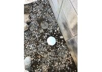 line_182771690245590